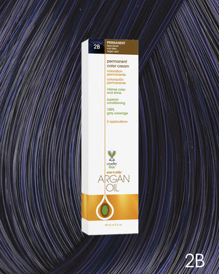 One n’ Only Hair Care - Argan Oil Permanent Hair Color 2B Blue Black