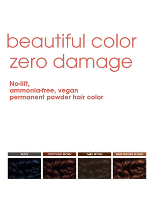 Permanent Powder Color Only Packet - Medium Brown